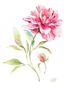 涂鸦 色彩 水彩 手绘 铅笔 彩铅 彩色 可爱 插画 艺术 动漫(画) 黑白 植物 建筑 绘画 古风 花 壁纸 水粉 色彩 动物 水墨