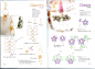 【串珠资料】耳饰制作方法（少见的耳环制作的书，不要错过！） - 串珠DIY - DIY吧!手工制作论坛 - Powered by Discuz!