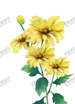 重阳节素材 【酷图网】重阳节素材,重阳,重阳节海报,重阳节展板,九九重阳节,重阳节字体,菊花装饰素材,重阳敬老,重阳节宣传,重阳节主题,重阳节设计,重阳节书法,重阳节明信片,重阳节贺卡,重阳节晚会,关爱老人,敬老爱老,敬老节,菊花,飞鹤,传统,习俗,传统节日,敬老,帮助老人,关爱父母,敬老爱幼,插画,插图,重阳节日素材