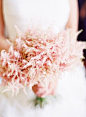 Blush astilbe