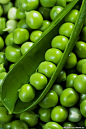 绿色豌豆高清图片素材下载