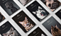 Purina Veterinary Diets - Brand Campaign : Purina Pro Plan Veterinary Diets makes leading therapeutic formulas for cats and dogs backed by science to help veterinarians manage a range of health issues. Using striking imagery and design elements to capture