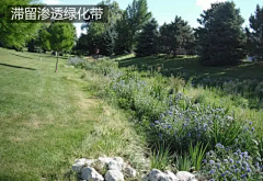 其芹晓晓采集到海绵城市