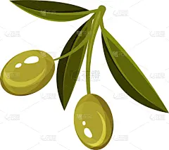 熟的,小的,橄榄,嫩枝,叶子,绿色,两个物体,农业,传统,蔬菜