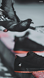 Nike SB Dunk Low「Black Pigeon」️
（1080 x 1920）
@ULSUM