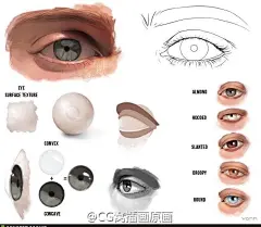 #绘画参考# 写实眼睛画法参考。 系统学习#C... 来自CG窝插画原画手绘板绘画游戏美术 - 微博