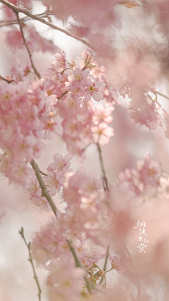 『沉眠』采集到sakura