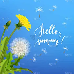 种子,蒲公英,蓝色背景,地形,户外,夏天,春天,黄色,绿色