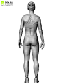 Over 600 Anatomy reference images