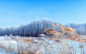内蒙古，冬季，草，树，雪，5k壁纸_5120x3200[10wallpaper