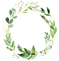 绿植草木素材png