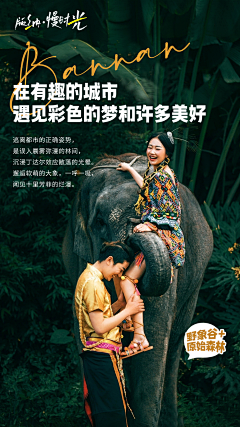 梅林子木采集到个人作品