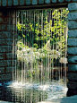 Falling Water via carex : garden design by carolyn mullet