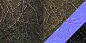 tile_hetero_root.jpg
