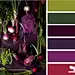 produced purple