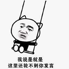 39726我说是就是，这里还轮不到你发言 斗图 表情包 花瓣搜索【关键字+飞天胖虎】可以找到系列表情包