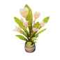Dreambloom: Star Hibiscus Seed : Dreambloom: Star Hibiscus Seed is a Gardening seed that can be obtained during the event Dreams of Bloom. Harvesting the seed will yield one of three results. There are 3 items that can be crafted using Dreambloom: Star Hi