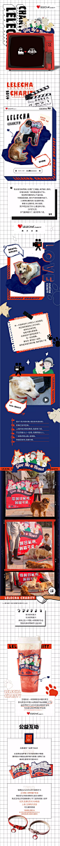 楽楽公益 | 楽楽茶×中国小动物保护协会 带我回家