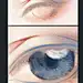 猫君笑猪_百度图片