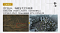 微信截图_20241217145713