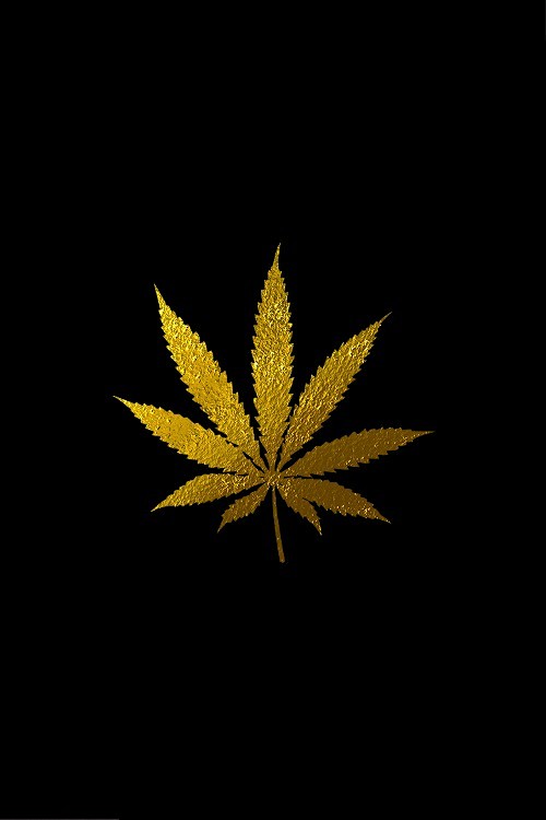 Gold Marijuana Leaf ...