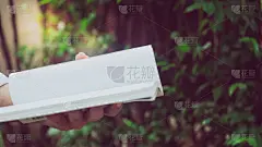 书,男人,手,菜园,商务,泰国,技术,草,夏天,户外
