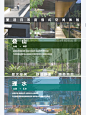 景观概念｜茶园山色｜高端度假型空间