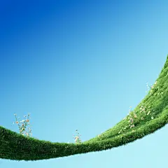 蓝天菊花草坪c4d渲染场景