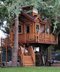 Tree House Design Ideas 166