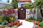 xeric landscape.  kangaroo paws and kalanchoe and yucca