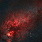 Nebulae in the Northern Cross Credit & Copyright: Rolf...