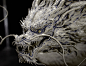 ‐龍‐ concept model