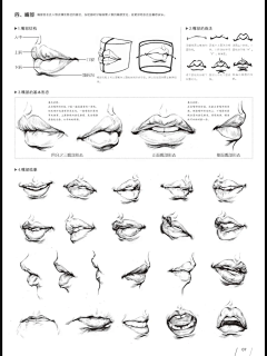 yozzi采集到头结构