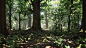 UE4 Broadleaf Forest, Willi Hammes : Realtime broadleaf forest  in Unreal Engine 4, all asset created from scratch with the help of photogrammetry and lots of detailing work in 3ds max and Photoshop. Real-time lights with baked GI, runs at 60fps at 1080p.