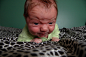 30 Babies That Are Pissed At You