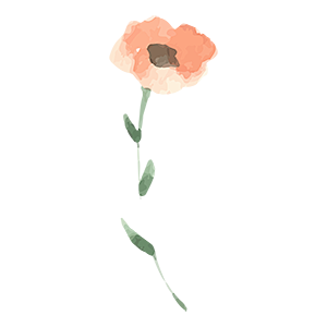 水彩手绘花卉PNG免抠图