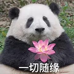 花花表情包第二弹~ 三角饭团请求出战！ - 小红书