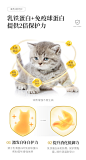 宽福猫罐头主食罐幼猫咪零食营养增肥170g*12罐奶糕幼猫罐头湿粮-tmall.com天猫