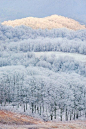 雪一落，
一地白