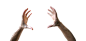 e3a3b9989121b9bda2925065aa77b989