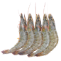 泰国青虾B