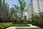 中海南京棠城公馆 住宅及社区 新中式 园路 地面铺装 植物种植 景观设计（SED新西林景观国际，受邀加入ASLA协会，拥有风景园林工程设计专项甲级，业务范围：酒店及度假设计、特色产业环境、商业地产设计、住宅及社区设计、城市概念规划、市政基础设施设计）