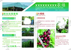 广告单页 【酷图网】水果,干果,零食,批发,零售,销售,微商,专卖店,水果店,外卖,特价水果,优惠,促销,活动,水果铺,水果套餐,水果打折,水果促销,水果摊,水果市场,水果创业,鲜果,水果超市,水果购物,水果团购,水果品种,单页,宣传单,海报,DM单,广告单,瓜果,蔬菜,水果销售名片,卡片,外卖卡,葡萄,樱桃,设计