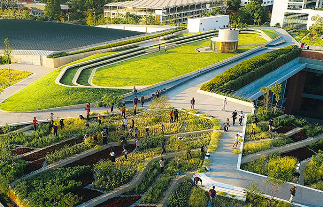 泰国国立法政大学屋顶有机农场曼谷landprocess亚洲最大的屋顶有机