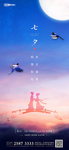 杨晓骁采集到七夕