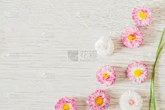 贺卡,雏菊,背景,春天,白色,粉色,木制,小的,紫色丁香,周年纪念卡