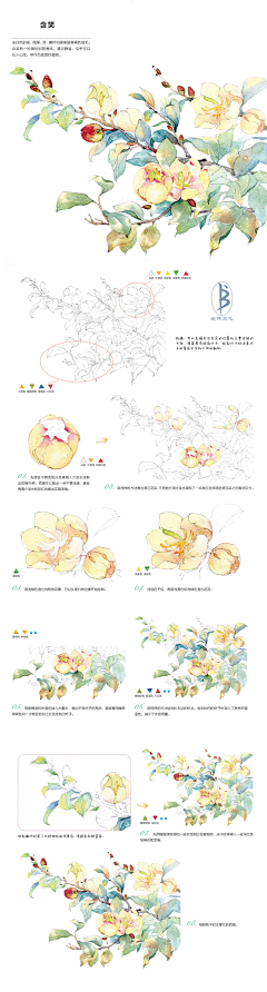 野生-大胖墩采集到这件疯狂的小事（色彩水彩教程）