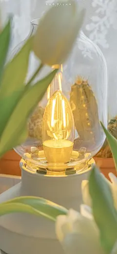 @壁纸萌娘 的个人主页 - 微博