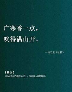 吃货归来采集到语言文字