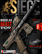 SIEGE Issue 02, ECHO LIMA : SIEGE Monthly is the coolest magazine that never existed! This studio project came about as we searched for creative ways to showcase our weapon designs that would be engaging and meaningful. Expect more issues in the future.
S